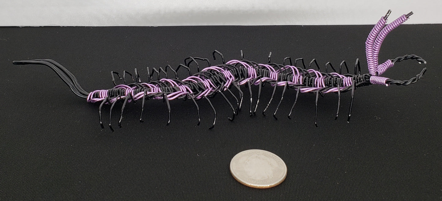 Centipede - Purple/Black