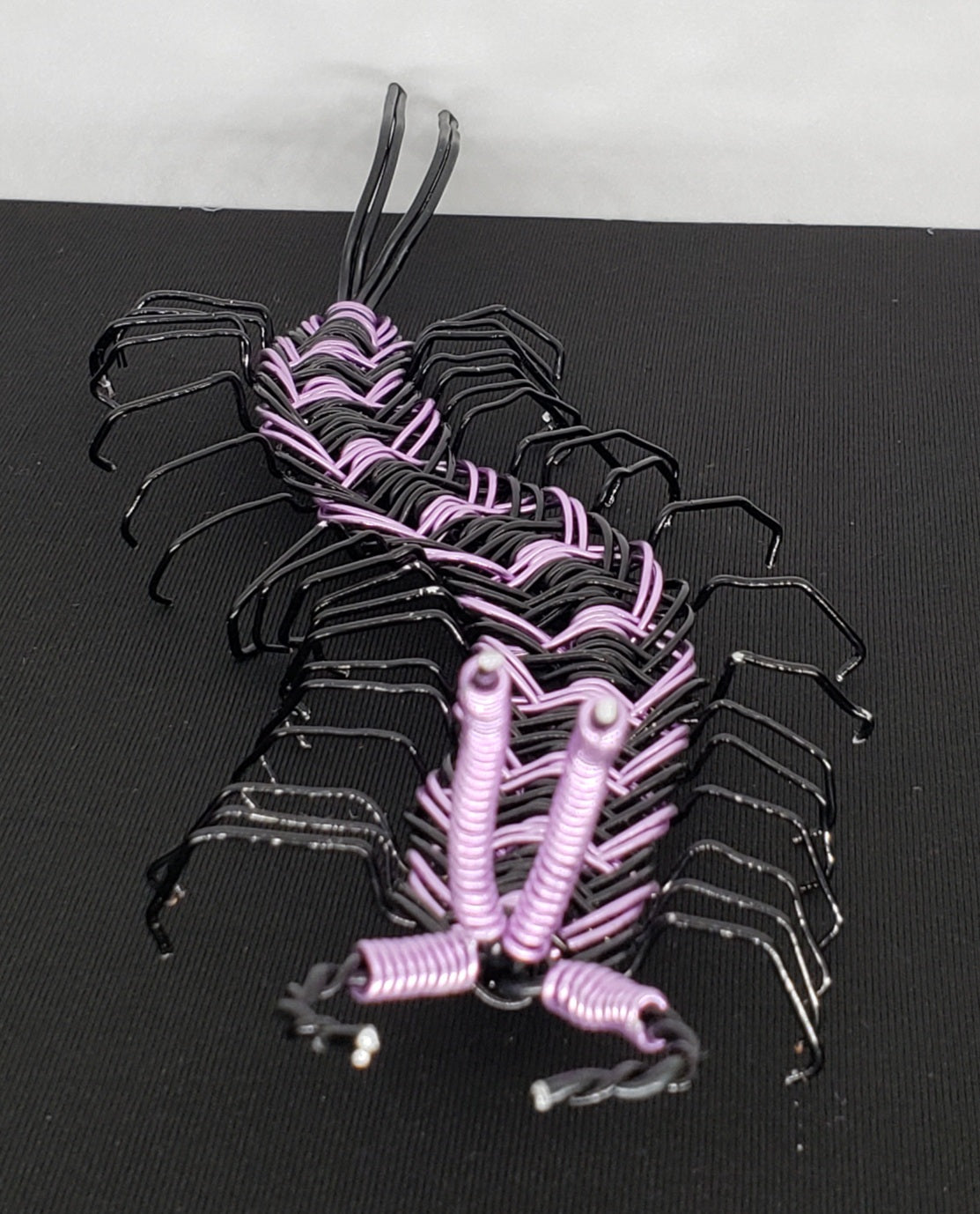 Centipede - Purple/Black