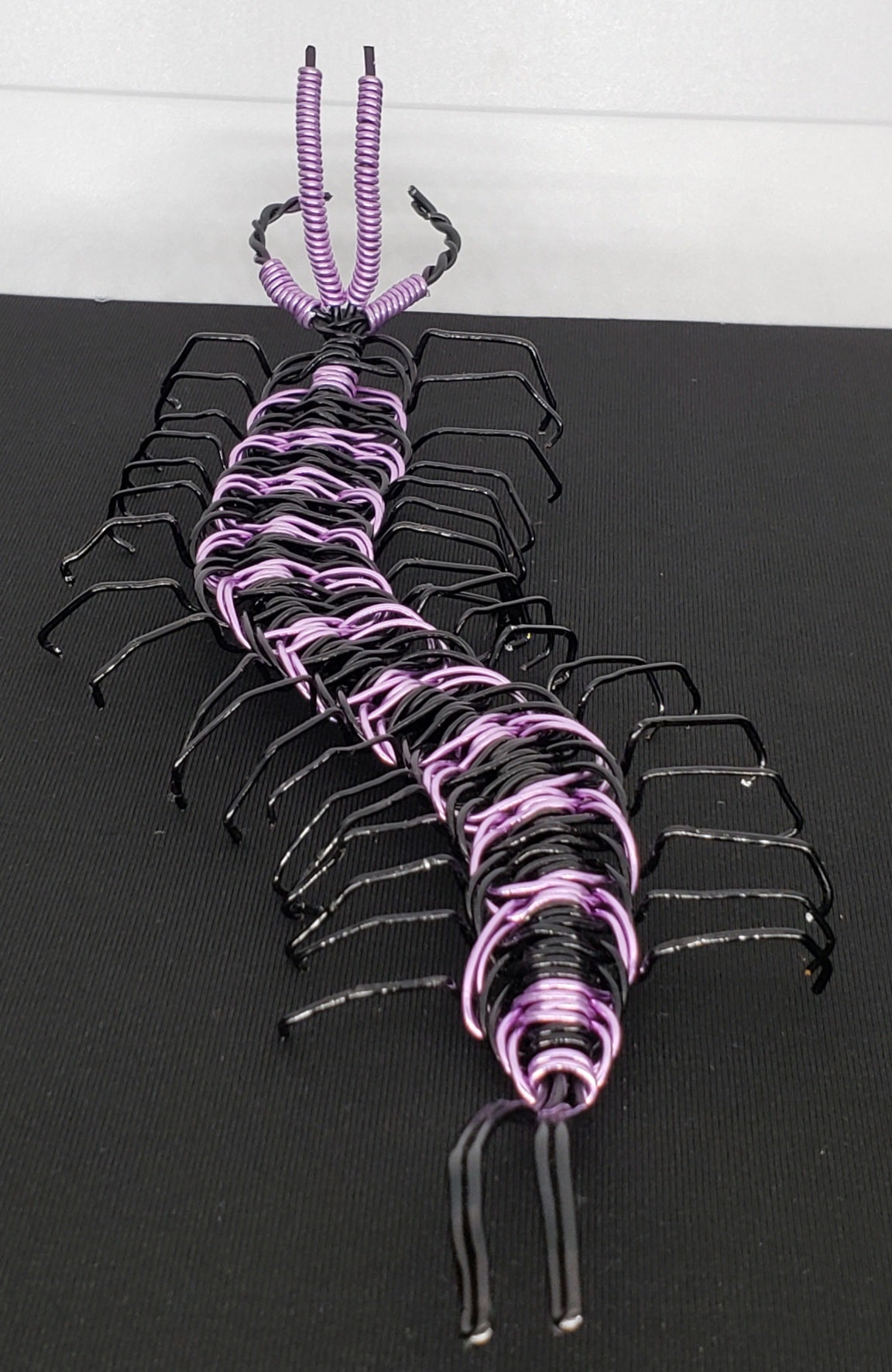 Centipede - Purple/Black