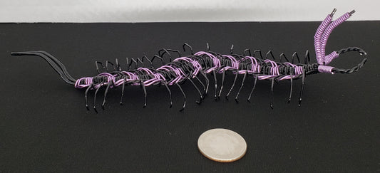 Centipede - Purple/Black