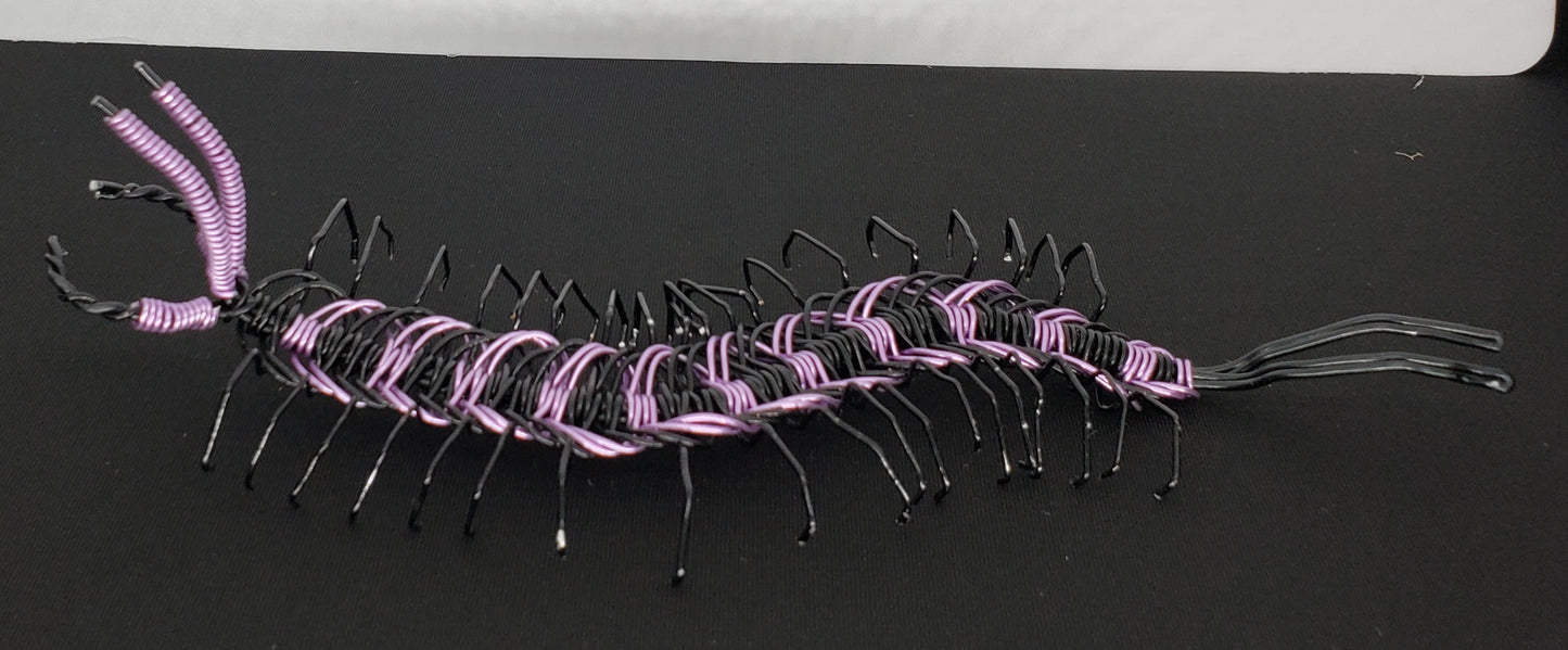 Centipede - Purple/Black