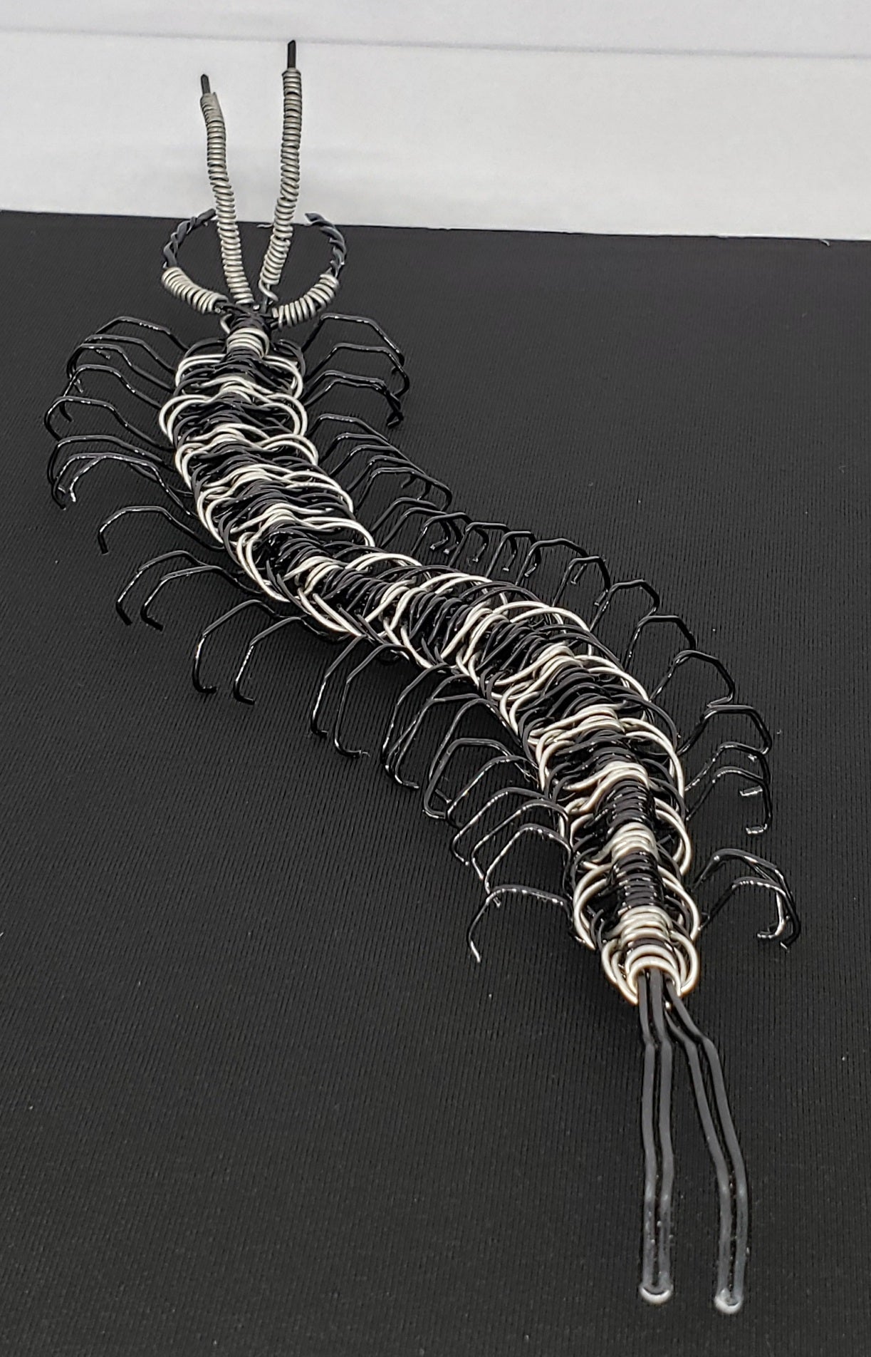 Centipede - Silver/Black